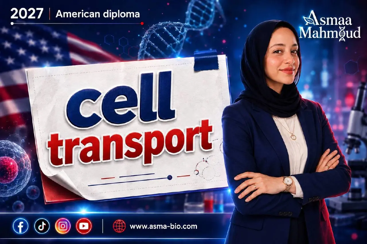 AMERICAN DIPLOMA