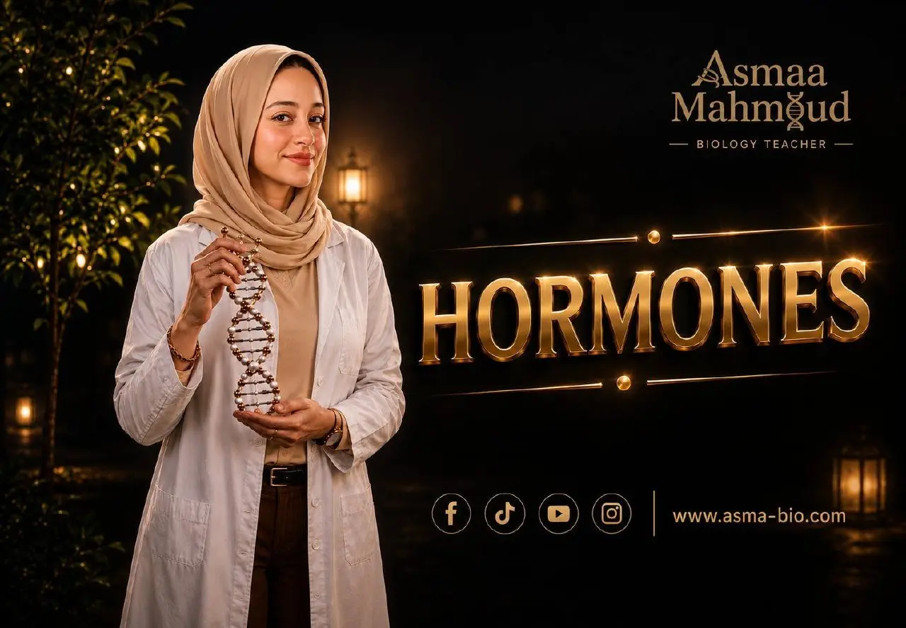 HORMONES
